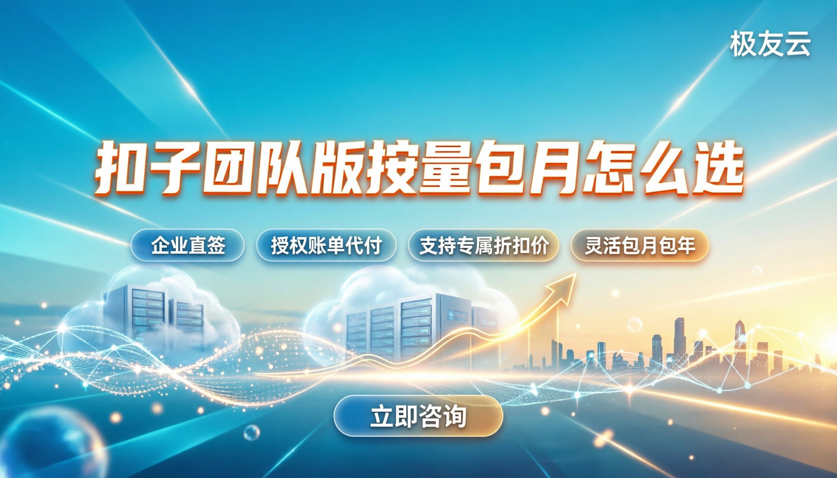 扣子团队旗舰版费用：按量还是包月？怎么选最划算