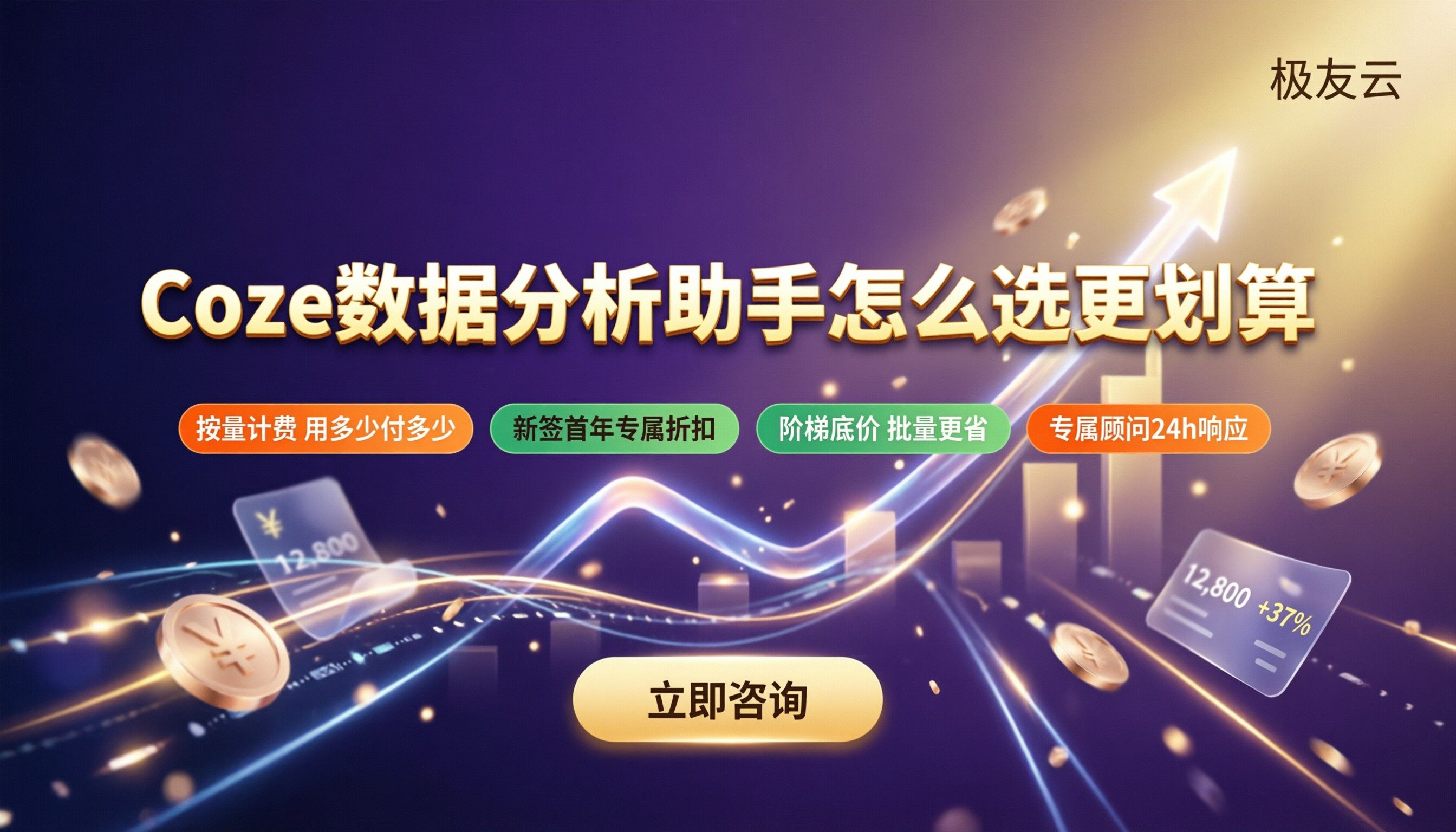 Coze数据分析助手价格：怎么选更划算？