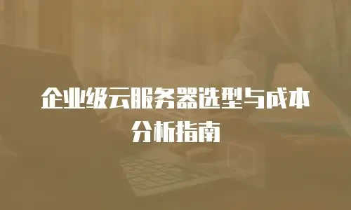 企业级云服务器选型与成本分析指南