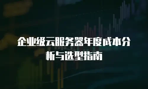 企业级云服务器年度成本分析与选型指南