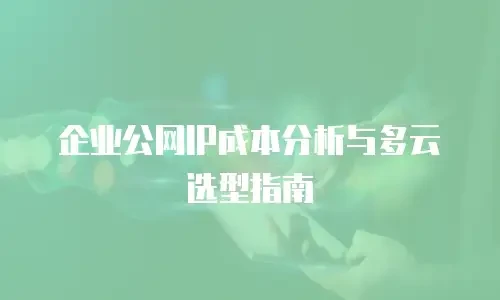 企业公网IP成本分析与多云选型指南