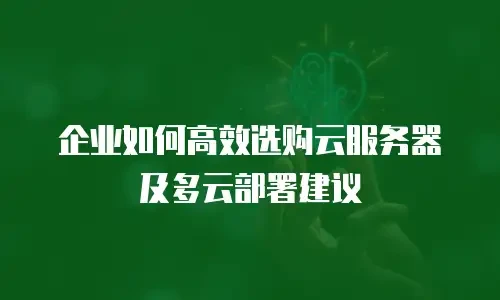企业如何高效选购云服务器及多云部署建议