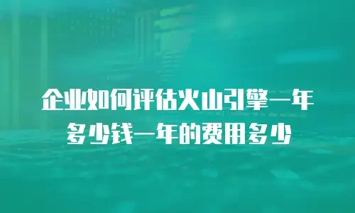 企业如何评估火山引擎一年多少钱一年的费用多少