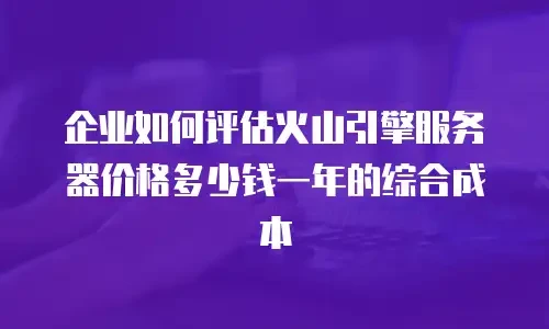 企业如何评估火山引擎服务器价格多少钱一年的综合成本
