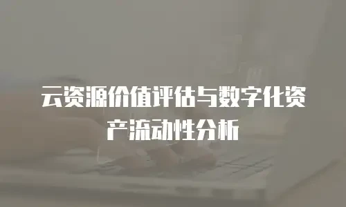 云资源价值评估与数字化资产流动性分析