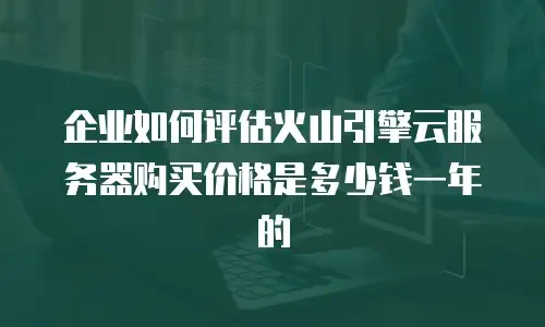 企业如何评估火山引擎云服务器购买价格是多少钱一年的