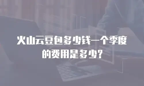 火山云豆包多少钱一个季度的费用是多少？