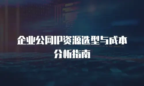 企业公网IP资源选型与成本分析指南