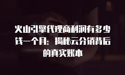 火山引擎代理商利润有多少钱一个月：揭秘云分销背后的真实账本