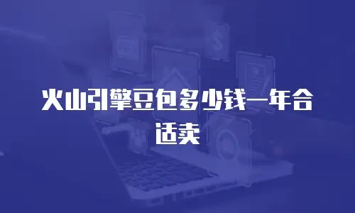 火山引擎豆包多少钱一年合适卖