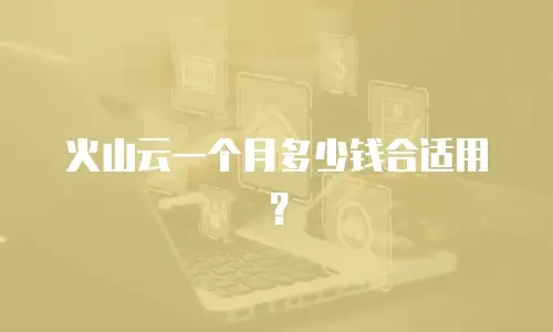 火山云一个月多少钱合适用？