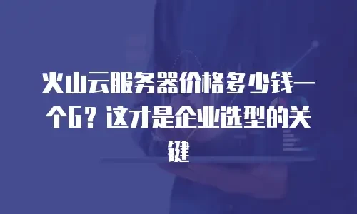 火山云服务器价格多少钱一个G？这才是企业选型的关键