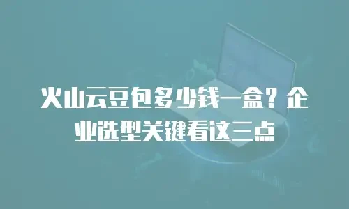 火山云豆包多少钱一盒？企业选型关键看这三点