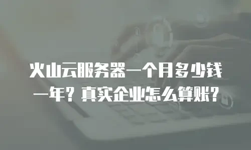 火山云服务器一个月多少钱一年？真实企业怎么算账？
