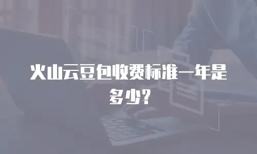 火山云豆包收费标准一年是多少？