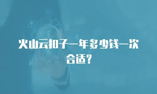 火山云扣子一年多少钱一次合适？