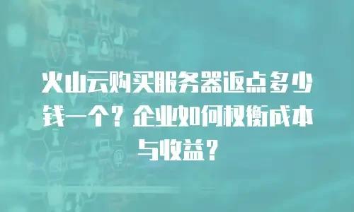 火山云购买服务器返点多少钱一个？企业如何权衡成本与收益？
