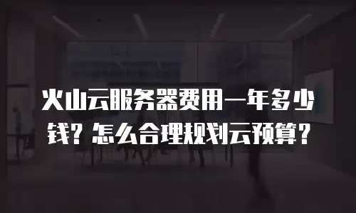 火山云服务器费用一年多少钱？怎么合理规划云预算？
