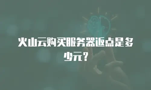 火山云购买服务器返点是多少元？