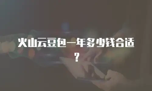 火山云豆包一年多少钱合适？