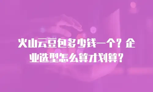 火山云豆包多少钱一个？企业选型怎么算才划算？