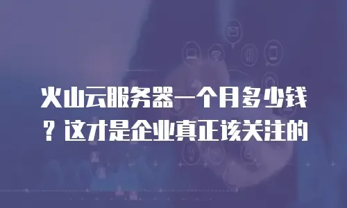 火山云服务器一个月多少钱？这才是企业真正该关注的