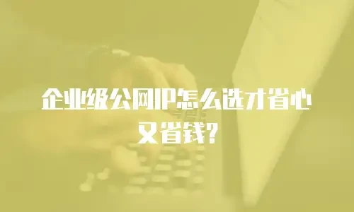 企业级公网IP怎么选才省心又省钱？