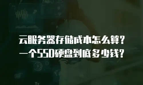 云服务器存储成本怎么算？一个SSD硬盘到底多少钱？
