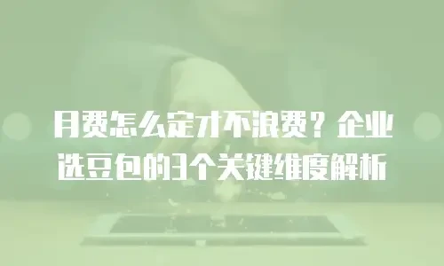 月费怎么定才不浪费？企业选豆包的3个关键维度解析