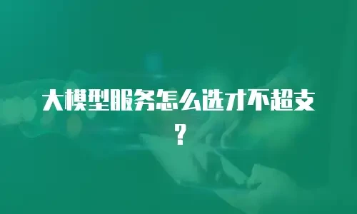 大模型服务怎么选才不超支？