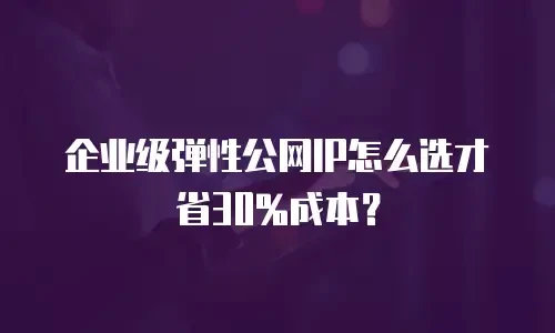 企业级弹性公网IP怎么选才省30%成本？