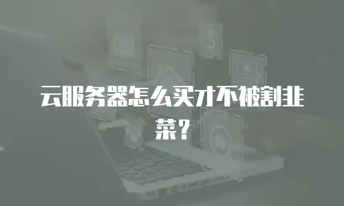云服务器怎么买才不被割韭菜？