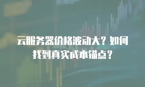 云服务器价格波动大？如何找到真实成本锚点？