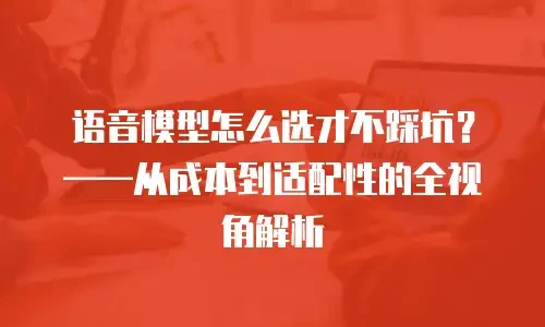 语音模型怎么选才不踩坑？&mdash;&mdash;从成本到适配性的全视角解析