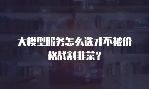 大模型服务怎么选才不被价格战割韭菜？