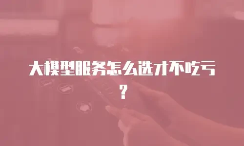 大模型服务怎么选才不吃亏？