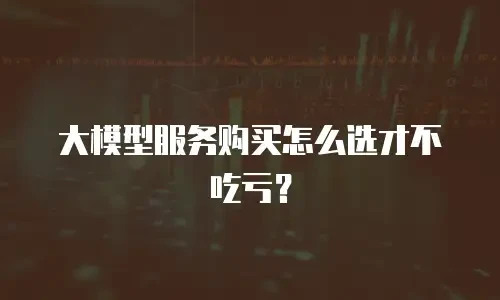 大模型服务购买怎么选才不吃亏？