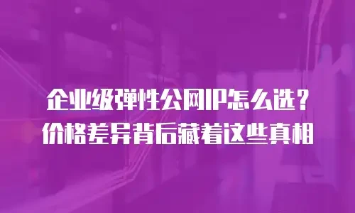 企业级弹性公网IP怎么选？价格差异背后藏着这些真相
