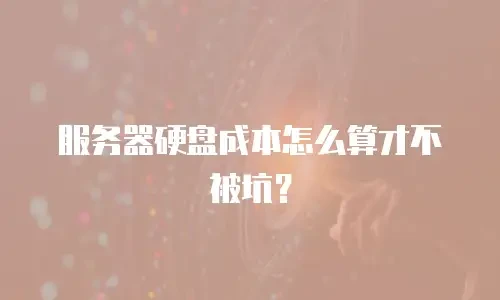 服务器硬盘成本怎么算才不被坑？