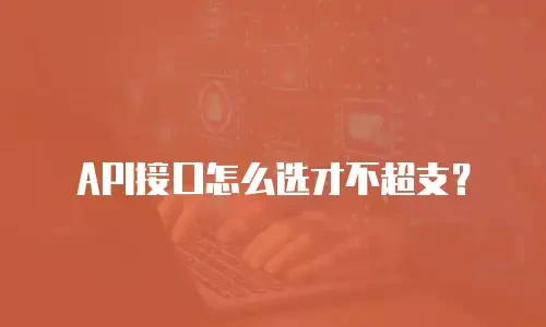 API接口怎么选才不超支？