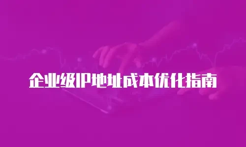 企业级IP地址成本优化指南