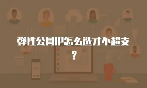 弹性公网IP怎么选才不超支？