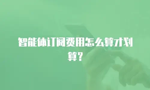 智能体订阅费用怎么算才划算？
