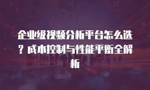 企业级视频分析平台怎么选？成本控制与性能平衡全解析